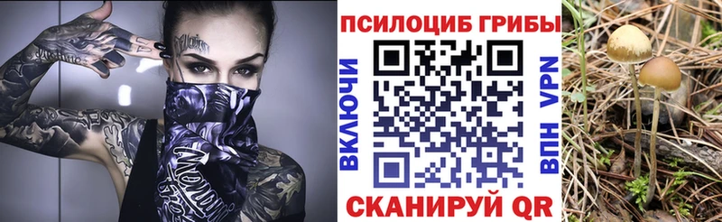 Галлюциногенные грибы MAGIC MUSHROOMS  что такое   Бугульма 
